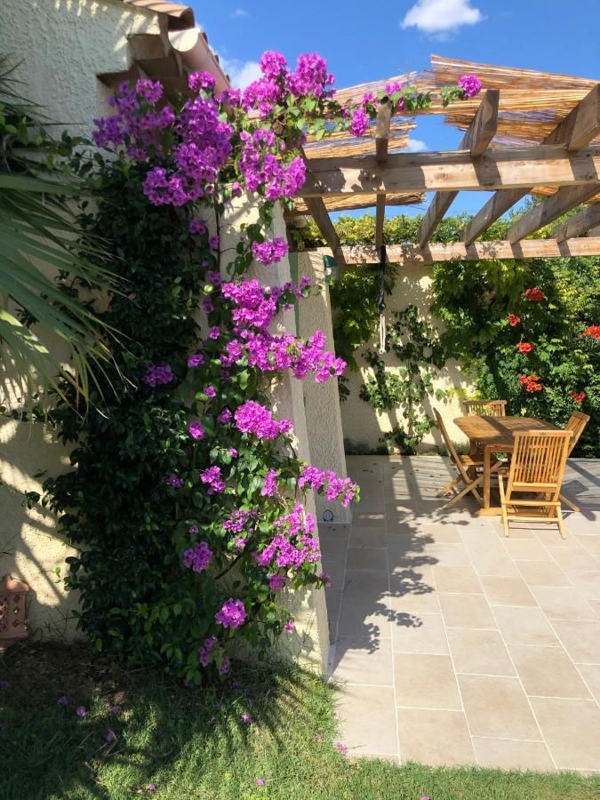 Villa D'Architecte Avec Piscine Et Grand Jardin Marsilya Dış mekan fotoğraf