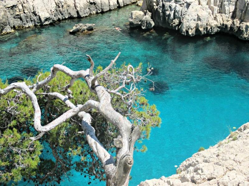 Villa D'Architecte Avec Piscine Et Grand Jardin Marsilya Dış mekan fotoğraf